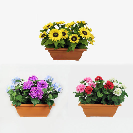 Karina Bailey  window box