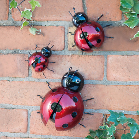 Ladybug Decoration